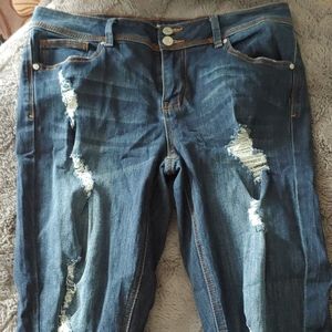 Indigo Rein Ankle Jeans